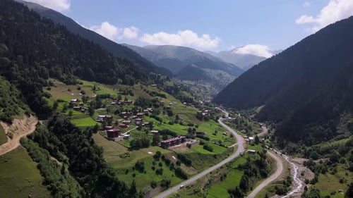 Village Among Pine Forests