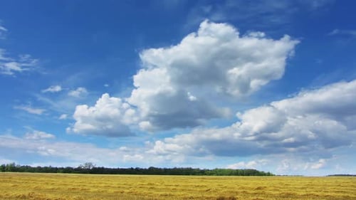 Clouds Moving Over Yellow Field