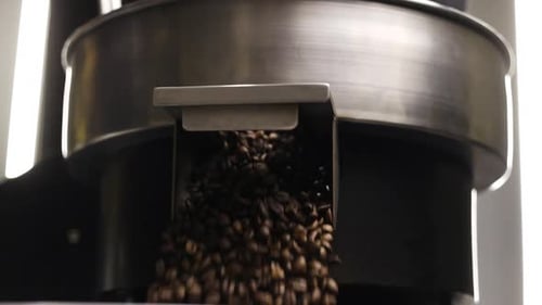 Roasted Coffee Beans Pouring from Silver Machine