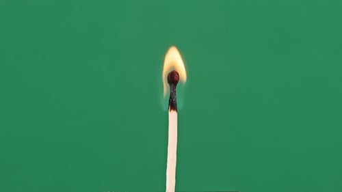 The Match Stick Ignites and Burns on a Green Background CloseUp