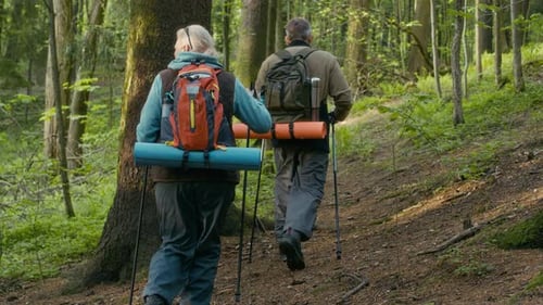 Sporty Mature Couple Trekking in Spring Forest