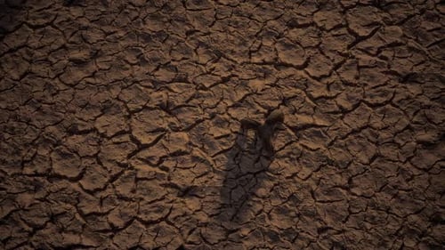Canal Middle Agricultural Dry By Drought And Heatwave On Summer