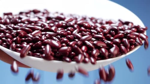 Kidney Beans Falling from White Plate in Macro
