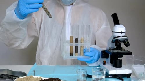 Scientist Examines Soil Samples in Test Tubes