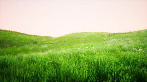 Landscape View of Green Grass on Slope at Sunrise