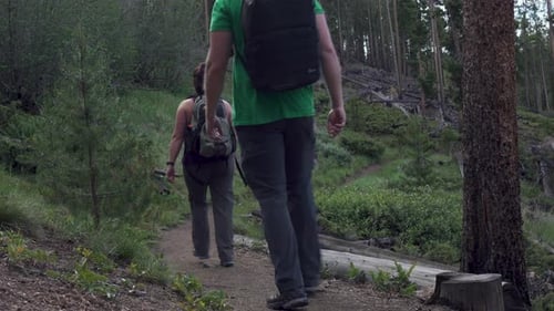 Woman and man hiking through a forest trail.