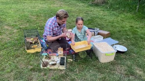 Tiempo de calidad en familia juntos al aire libre