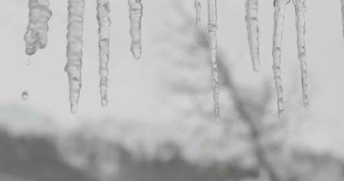 On a sunny winter day outside the window you can see the melting ice and drops of water fall. Conc