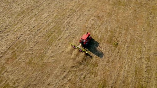 Trator com Hay Tedder aerando e acelerando a secagem da grama em um campo agrícola para embalá-la