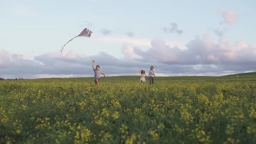 Young Family in a Outdoor Recreation a Boy with His Parents Running Through the Field Launching a