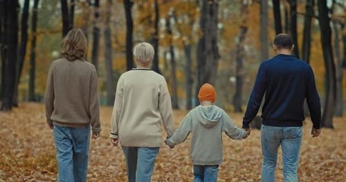 Rear View of Walking Family in Beautiful Park in Autumn Parents and Sons Holding Hands Prores