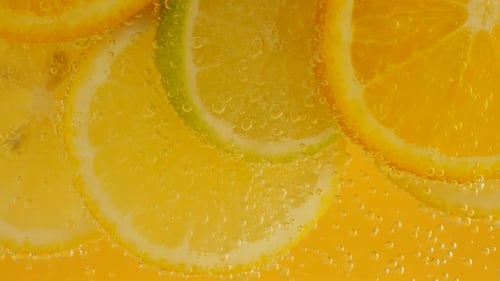 Citrus Fruit Slices with Bubbles in Clear Liquid
