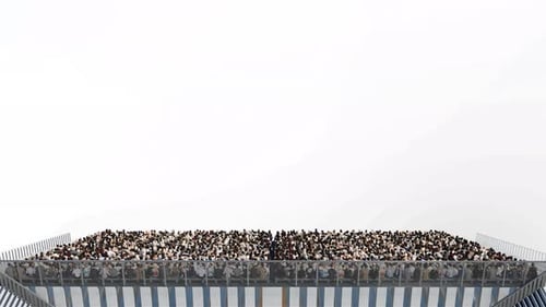 Aerial View Crowd of People Sitting on Stadium Grandstand with Alpha Channel