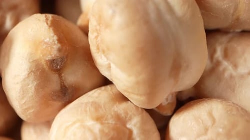 Chickpea seeds are a nutrient-dense powerhouse