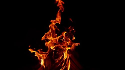 Auf
einem Haufen gestapelte Holzstücke brennen im Lagerfeuer. Nachts brennt im Freien ein Lagerfeuer
.