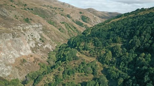 paysage avec des arbres dans les montagnes