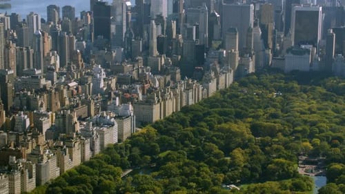 Aerial view of central park a famous landmark in New York City manhattan