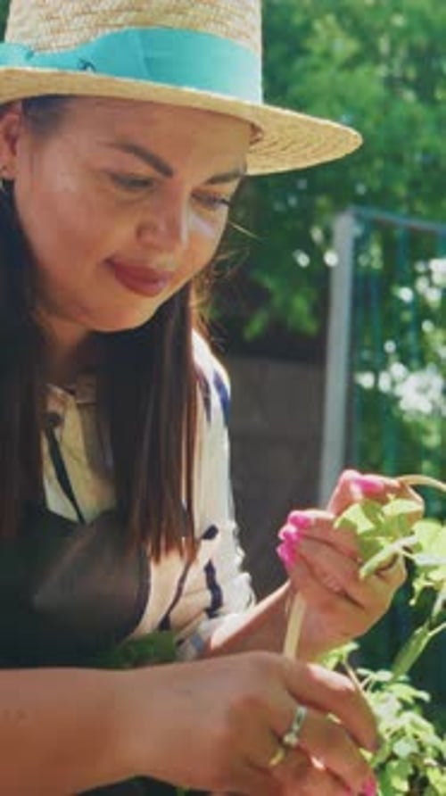 A Dedicated Gardener Nurtures Her Plants Captivating Moments of Care and Growth in a Vibrant Green