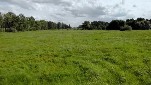 Aerial footage over green grass
