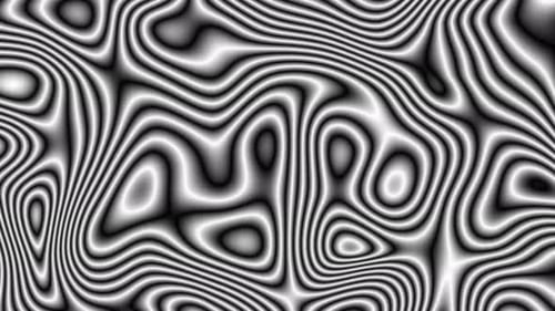 Abstract Black and White Morphing Lines Seamless Loop