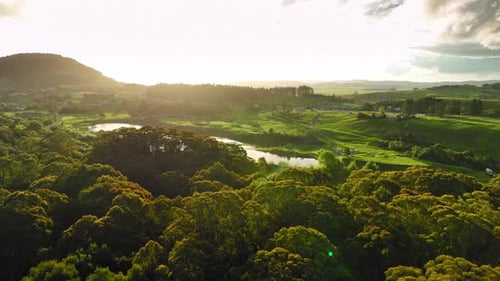 Cinematic Drone Footage of lake surrounded by greenery in golden sunset