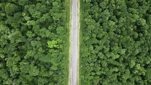 Luftaufnahme der Asphaltstraße mit grünem Wald auf beiden Seiten