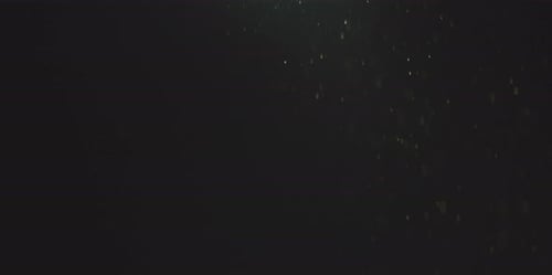 Anamorphic Dust Particles