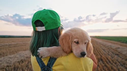Person Holds Golden Retriever Puppy in Field