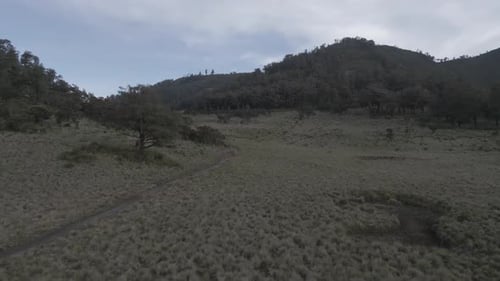 Lawu Mountain, Zentral-Java, Indonesien