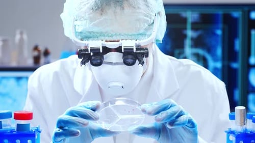 Scientist Examining Petri Dish in Laboratory