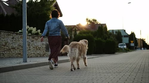 Woman Walking Dog on Suburban Street at Sunrise