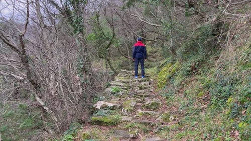 Ein Mann erklimmt einen hohen Bergsteinpfad im Wald und hält an, um sich auszuruhen und sich umzuschauen Konzept