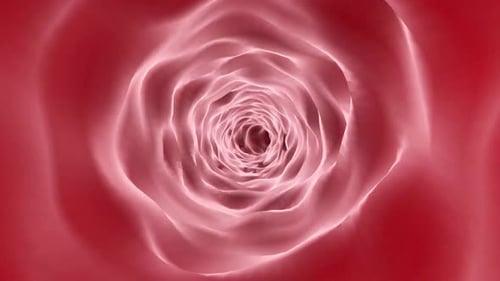 Platelets flow in blood vessels, realistic 3D animation