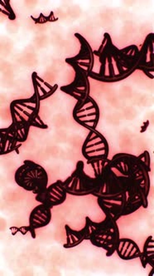 Exploring the Structure of DNA in a Scientific Illustration of Genetic Material