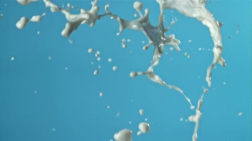 Milchspritzer auf blauem Hintergrund, gefilmt mit einer Hochgeschwindigkeitskamera mit 1000 Bildern pro Sekunde