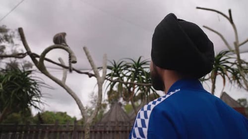 Rear View Of An Indian Punjabi Sikh Man Looking Up At A Lemur Sitting On Tree Wood Against Cloudy Sk