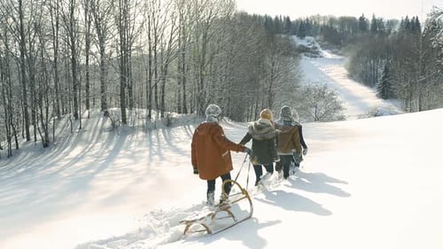 Teenage friends enjoying winter nature walk pulling sled in snowy forest back view