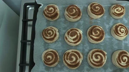 Two dozen cinnamon buns on a baking tray ready for the oven