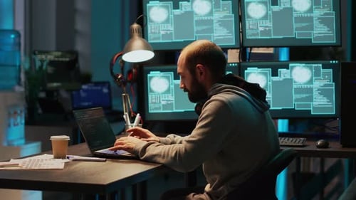 Jovem servidor de hacking criminoso de TI para destruir informações