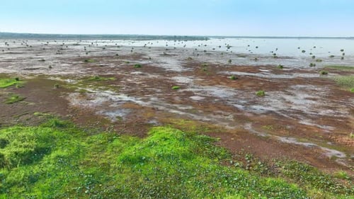 An aerial view of wetland.