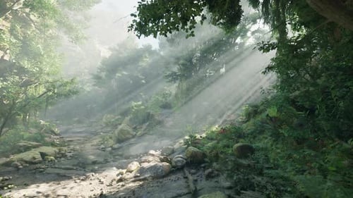A Sunlit Forest Path Surrounded By Lush Green Trees Mountain Path