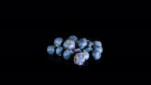 Blueberries Dehydrating In The Studio - Plain Black Background - timelapse