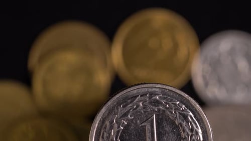 Une pièce en zloty polonais apparaît dans le cadre pendant que la caméra bouge. Macro de haut en bas, faites glisser vers le bas.