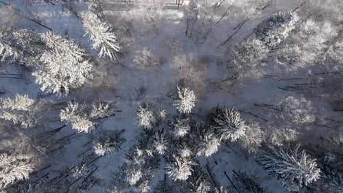 Atemberaubender Drohnenblick auf die verschneite Winterwaldlandschaft