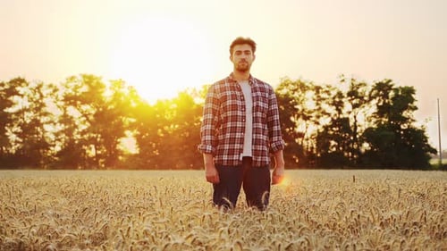 Portrait of Happy Farmer Standing in Ripe Wheat Field and Crossing Arms on Chest Proud Agronomist