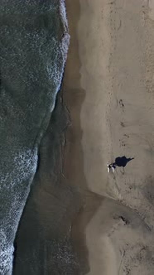 Surfers walking on the beach shore