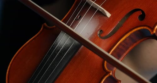 Violin Close Up Being Played with Musical Bow
