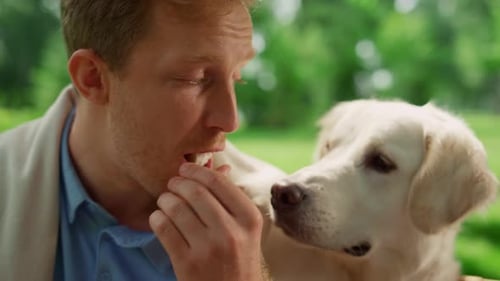 Man Shares Snack with Golden Retriever Outside in Park