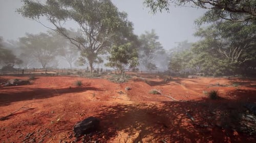 Misty Morning Foggy Bushland Landscape Flythrough Animation