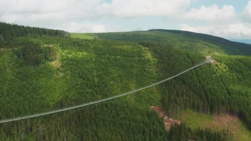 Lange Hängebrücke über ein mit Wäldern bedecktes Tal